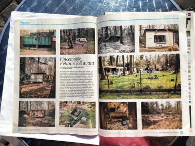 1897957_10152219745810896_6388204036152328948_n