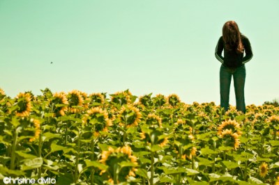 les grandes traversees jared gradinger royan mark&nbsp;jenkins