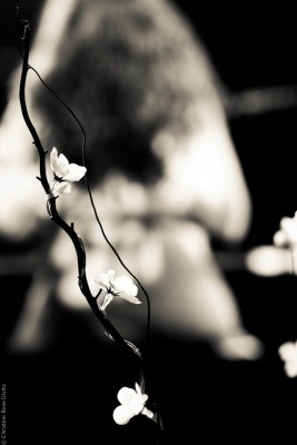 YAEL NAIM olympia paris&nbsp;musique