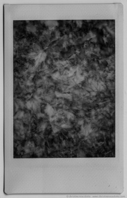 geopolanoiretblancsmall-12