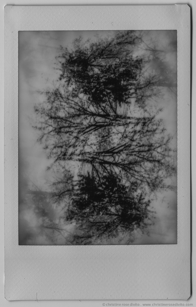 geopolanoiretblancsmall-19