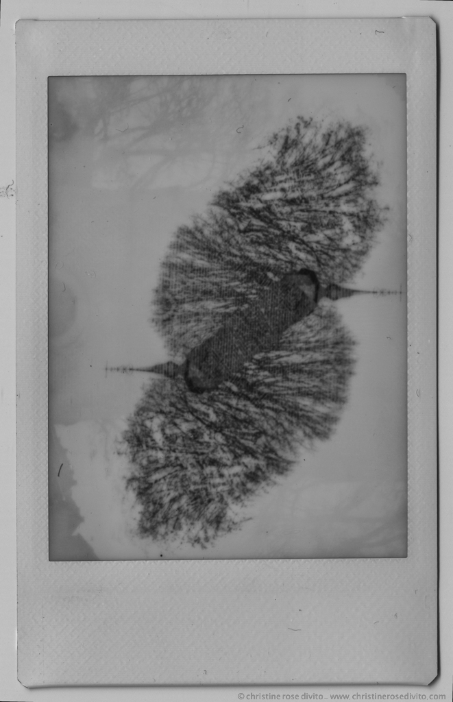 geopolanoiretblancsmall-23