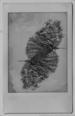 geopolanoiretblancsmall-23