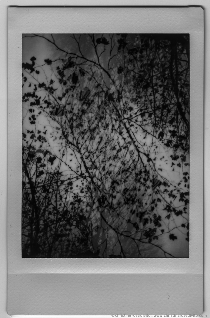 geopolanoiretblancsmall-3