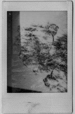 geopolanoiretblancsmall-4