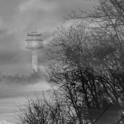 otherparadiseroadschristinerosedivito.com-12 copie