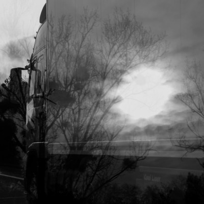 otherparadiseroadschristinerosedivito.com-15 copie