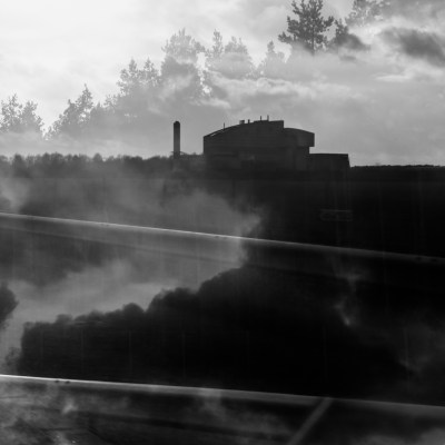 otherparadiseroadschristinerosedivito.com-19 copie