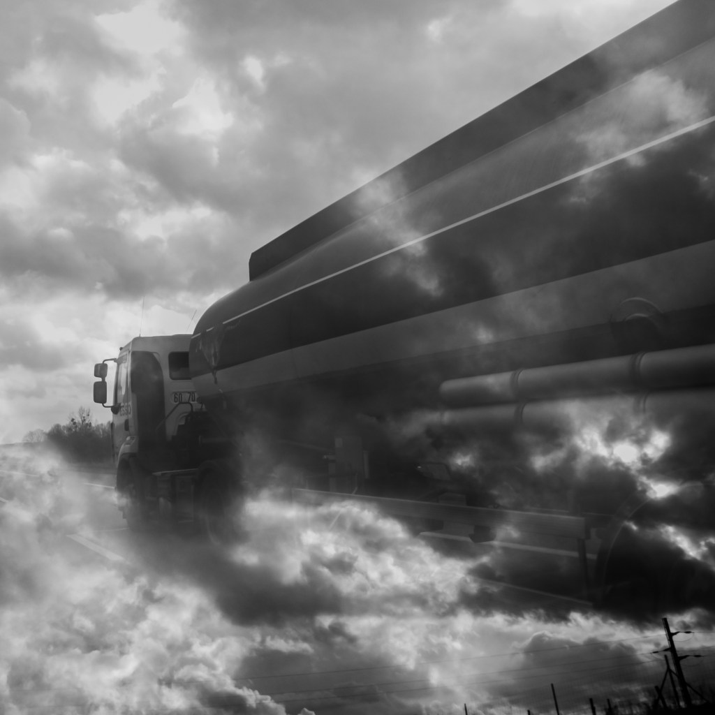 otherparadiseroadschristinerosedivito.com-24 copie