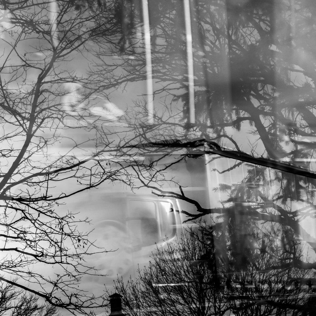 otherparadiseroadschristinerosedivito.com-28