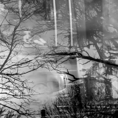 otherparadiseroadschristinerosedivito.com-28