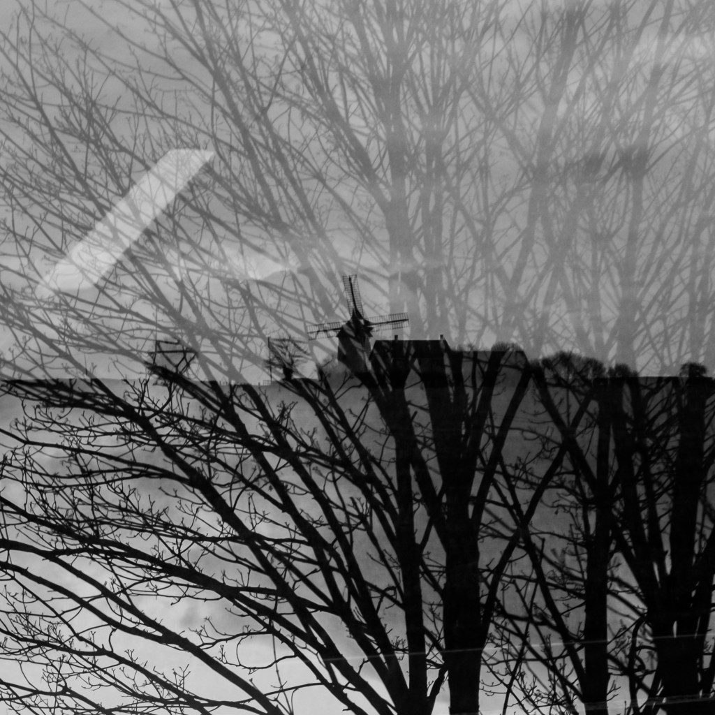 otherparadiseroadschristinerosedivito.com-29 copie