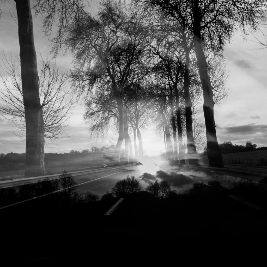 otherparadiseroadschristinerosedivito.com-30 copie