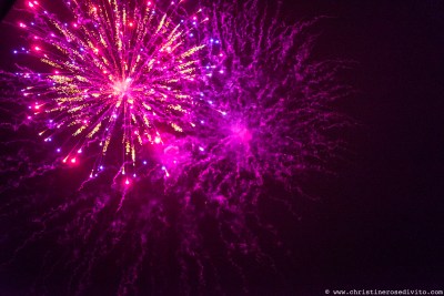 souslesmasquesdesgilleswww.christinerosedivito.com-132