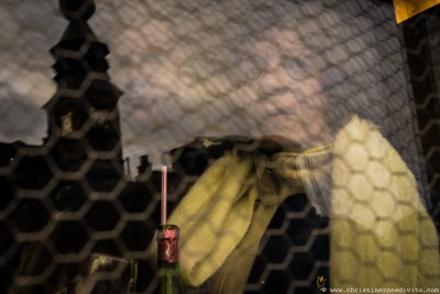 souslesmasquesdesgilleswww.christinerosedivito.com-40