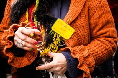 souslesmasquesdesgilleswww.christinerosedivito.com-47